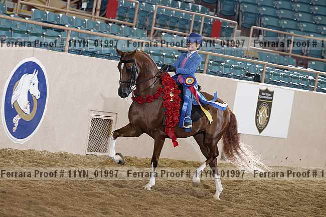 Proof 11yn_01997