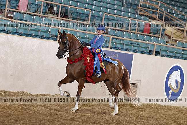 Proof 11yn_01998