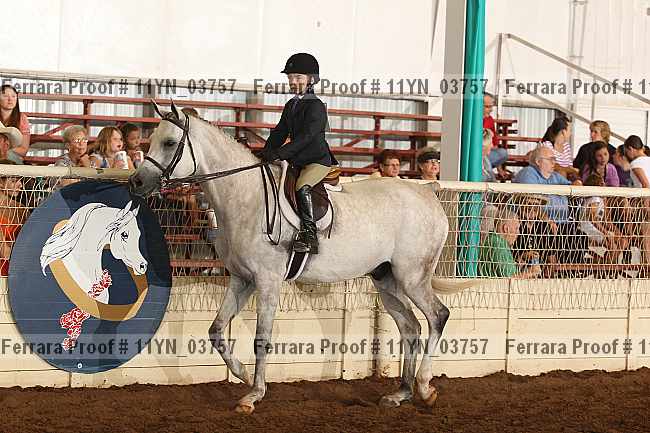Proof 11yn_03757