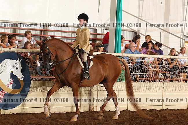 Proof 11yn_03760