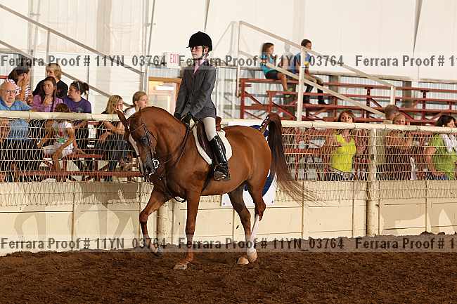 Proof 11yn_03764