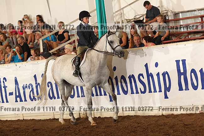 Proof 11yn_03772