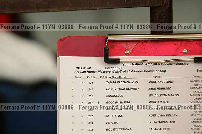 Proof 11yn_03886