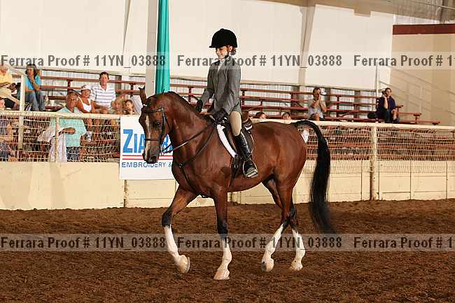 Proof 11yn_03888