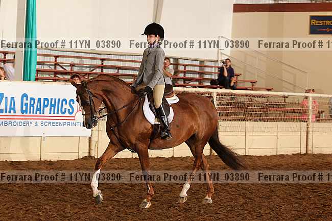 Proof 11yn_03890