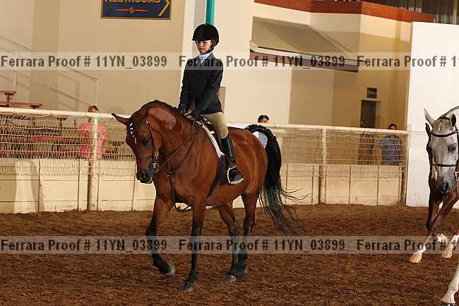 Proof 11yn_03899