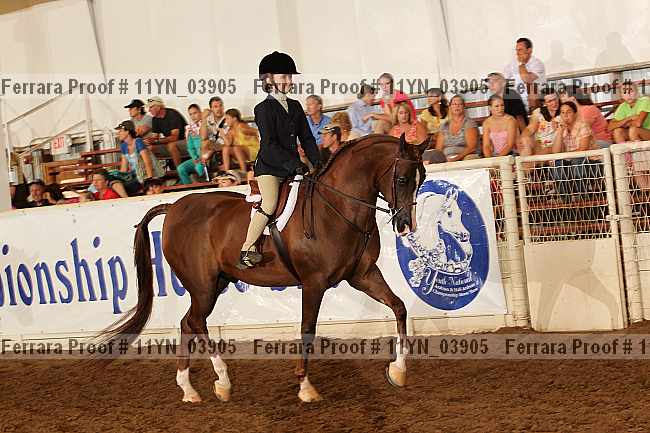Proof 11yn_03905