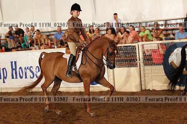 Proof 11yn_03907
