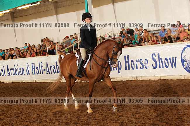 Proof 11yn_03909