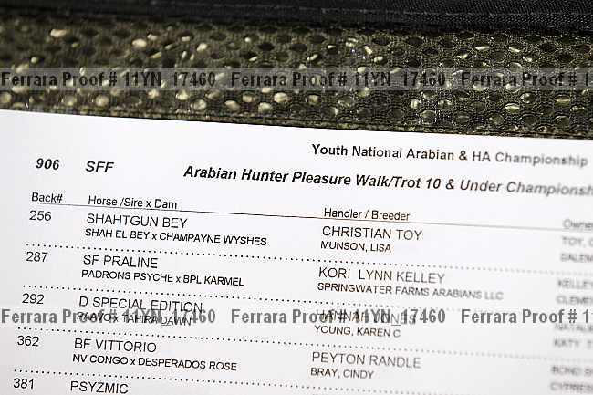 Proof 11yn_17460
