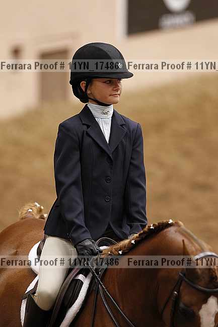 Proof 11yn_17486