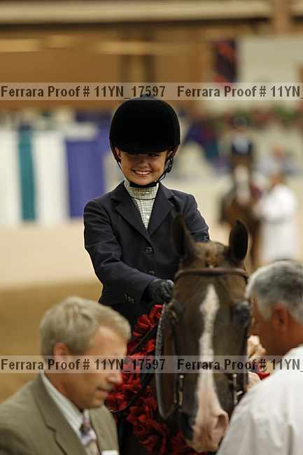 Proof 11yn_17597