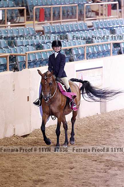 Proof 11yn_17636