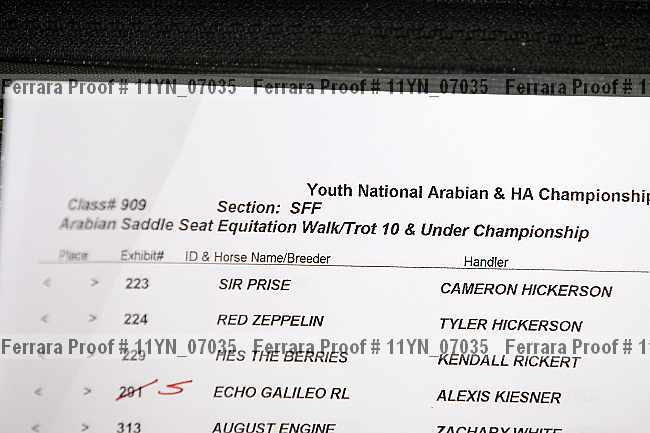Proof 11yn_07035