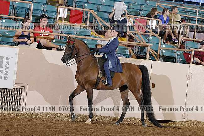 Proof 11yn_07036