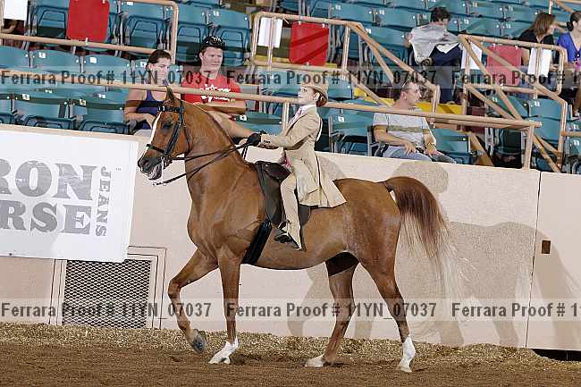 Proof 11yn_07037