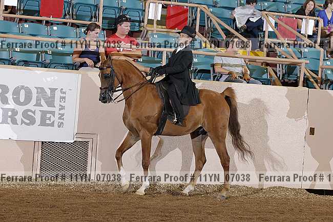 Proof 11yn_07038