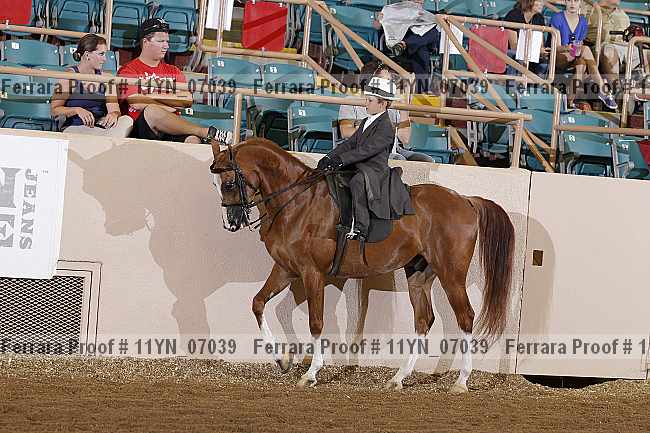 Proof 11yn_07039