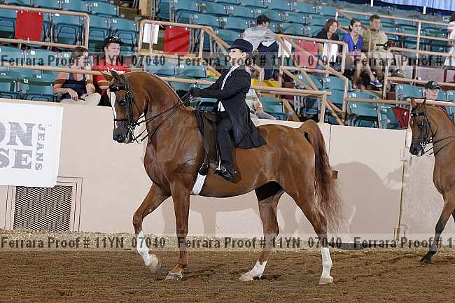 Proof 11yn_07040