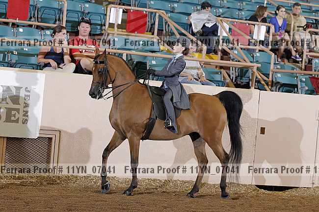 Proof 11yn_07041