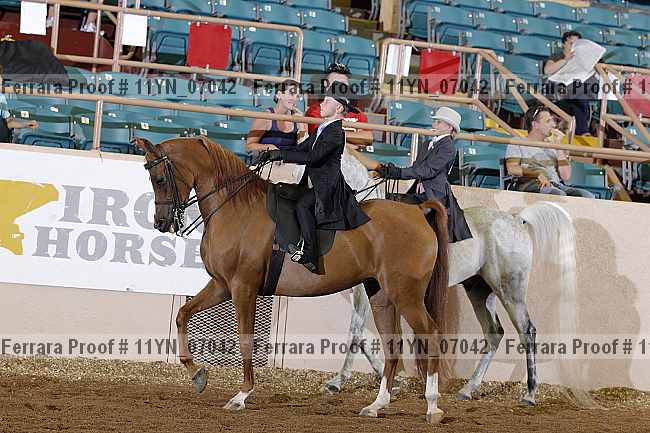Proof 11yn_07042