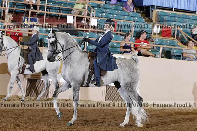 Proof 11yn_07043