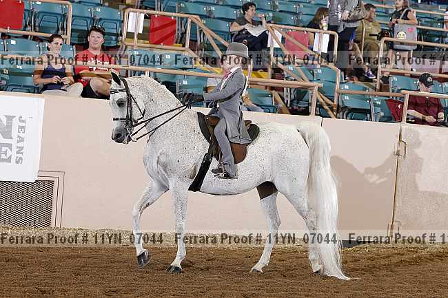 Proof 11yn_07044
