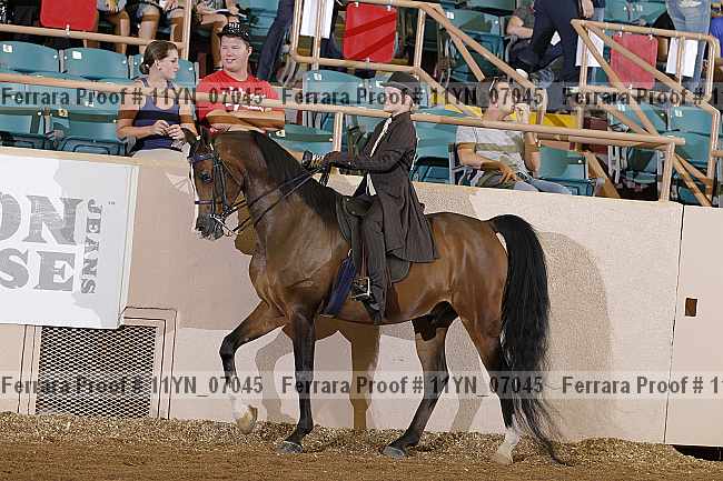 Proof 11yn_07045