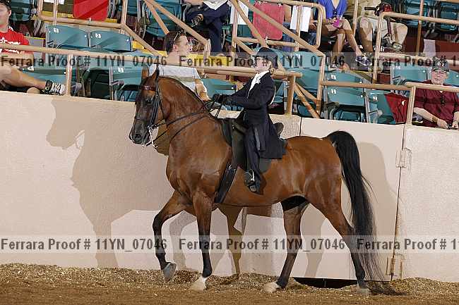 Proof 11yn_07046