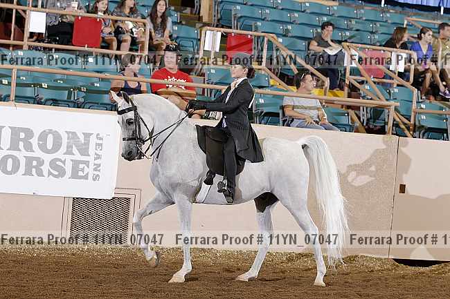 Proof 11yn_07047