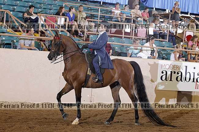 Proof 11yn_07048