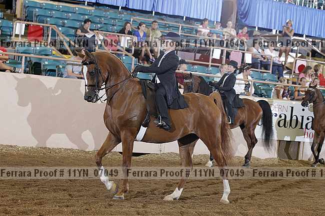 Proof 11yn_07049