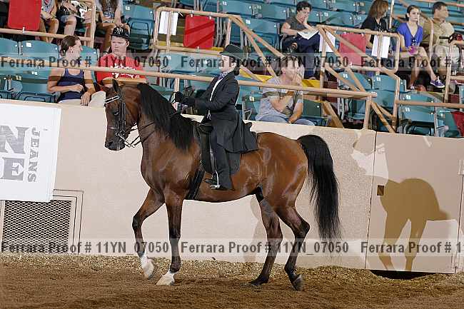 Proof 11yn_07050