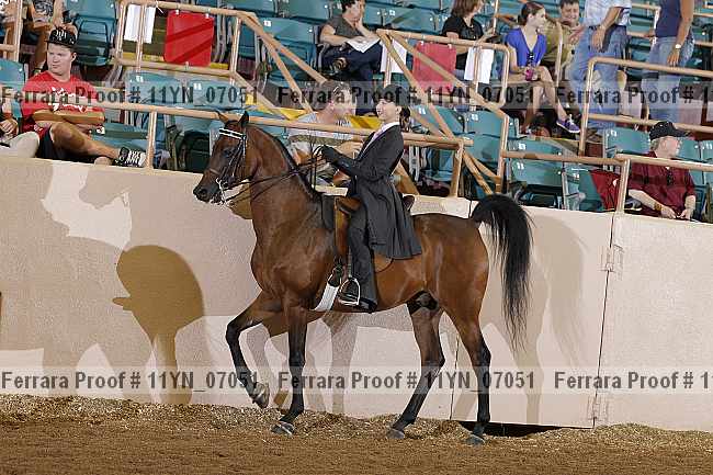 Proof 11yn_07051
