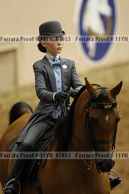 Proof 11yn_07053
