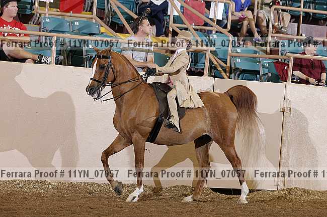 Proof 11yn_07057
