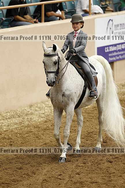 Proof 11yn_07058