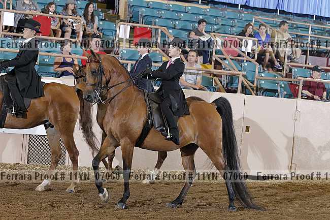 Proof 11yn_07060
