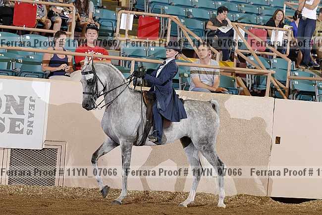 Proof 11yn_07066