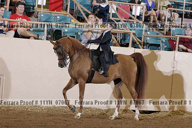 Proof 11yn_07067
