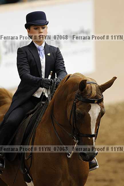 Proof 11yn_07068