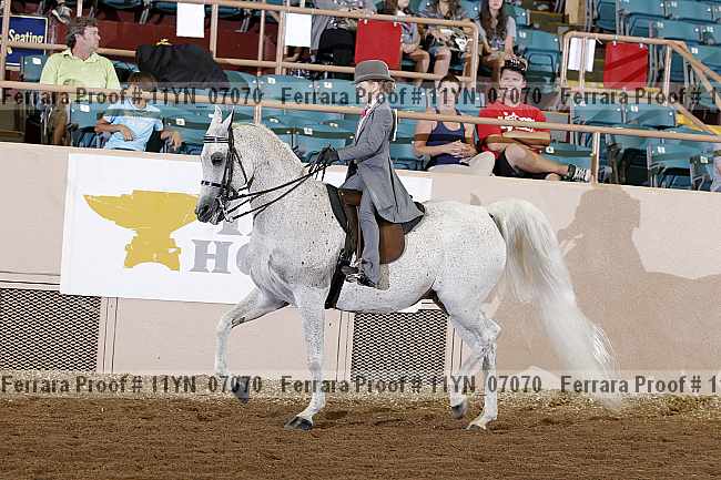 Proof 11yn_07070