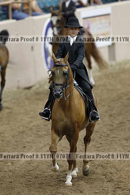 Proof 11yn_07071