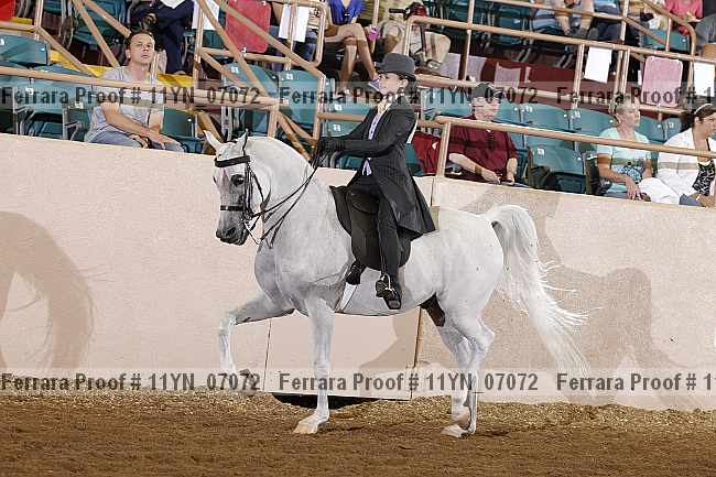 Proof 11yn_07072