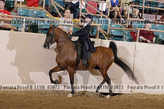 Proof 11yn_07073