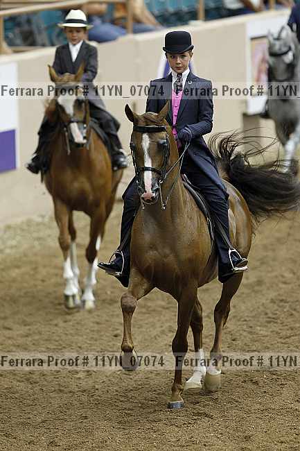 Proof 11yn_07074