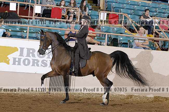 Proof 11yn_07075