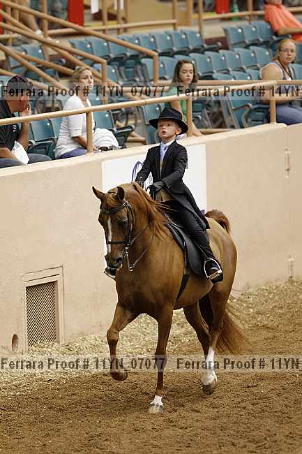 Proof 11yn_07077