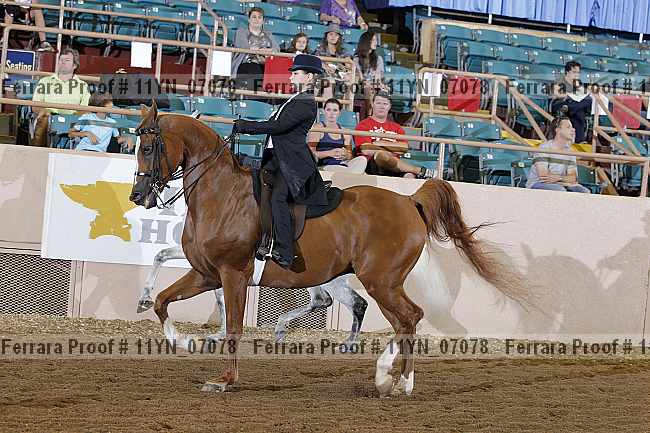 Proof 11yn_07078