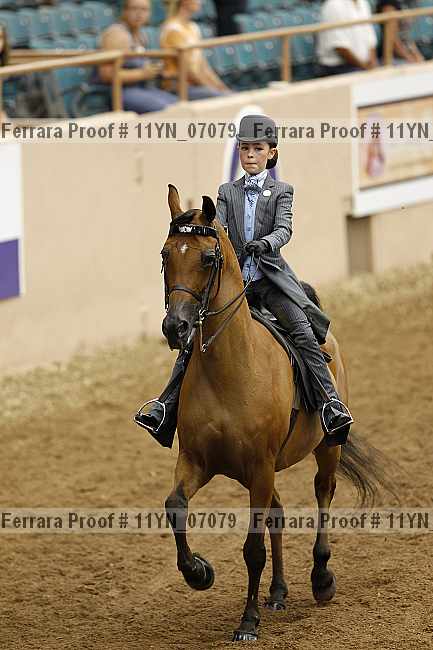 Proof 11yn_07079
